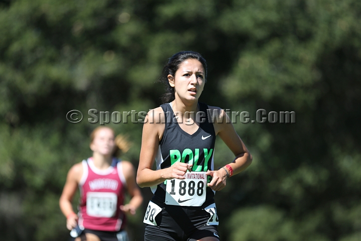 2015SIxcHSD1-242.JPG - 2015 Stanford Cross Country Invitational, September 26, Stanford Golf Course, Stanford, California.